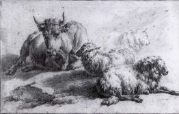 A Cow and Three Sheep