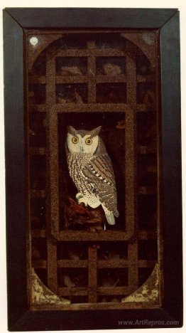 Untitled (Grand Owl Habitat)