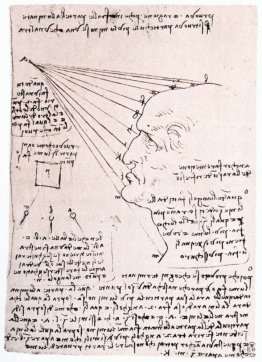 Study of the effect of light on a profile head (facsimile)