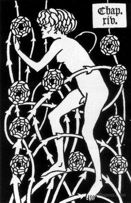 Hermaphrodite Among Roses