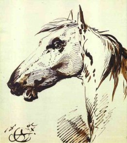 Head of a Horse