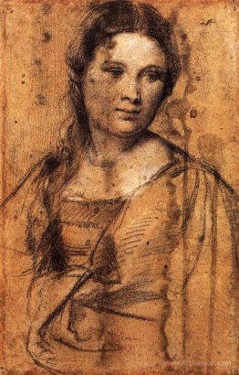 Portrait of a Young Woman