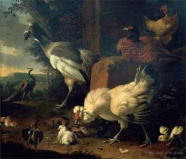 Domestic fowl with a pheasant and peacocks