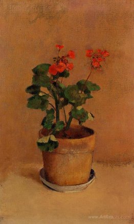 A Pot of Geraniums