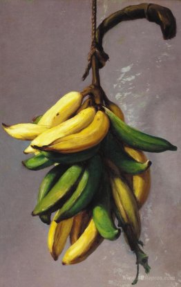 Yellow bananas 1893