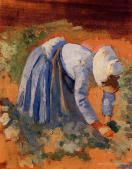 Study for The Grape Pickers