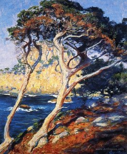 Point Lobos Trees