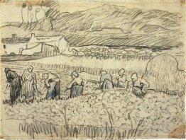 Women Working in Wheat Field