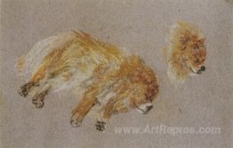 Two Studies of Sleeping Dog