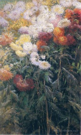 Clump of Chrysanthemums, Garden at Petit Gennevilliers