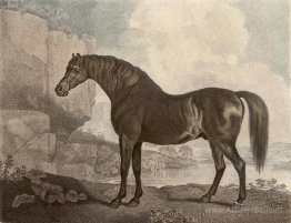 Marske Horse