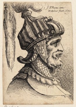 Helmet with long plume and chin strap