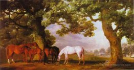 Mares and Foals in a Wooded Landscape