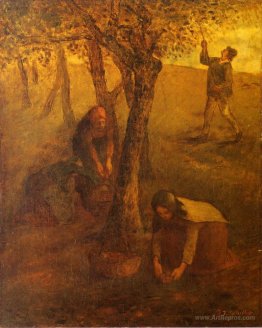 Gathering Apples