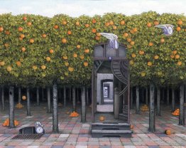 Orange grove