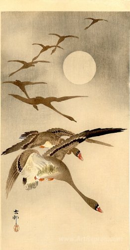 Eight White-fronted Geese in Flight; full Moon behind