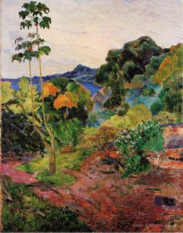 Martinique Landscape