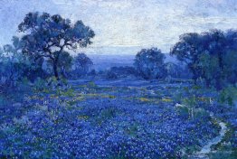 Bluebonnet Scene