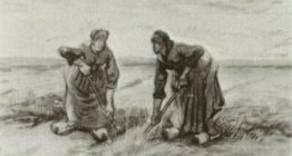 Two Women Talking to Each Other While Digging