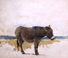 Study of a Donkey