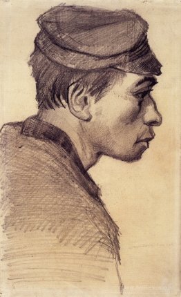 Head of a Young Man