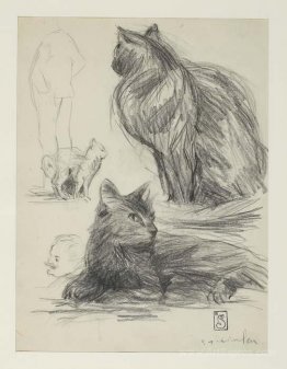 Study of Cats and Figures