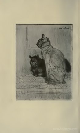 Two cats