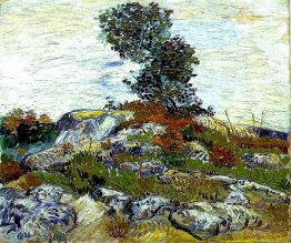 The Rocks with Oak tree