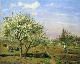 Orchard in Blossom, Louveciennes