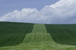 Basilicata