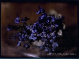 Violets