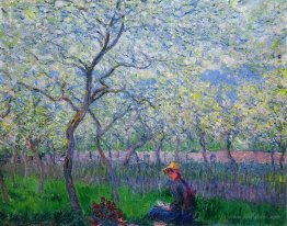 An Orchard in Spring