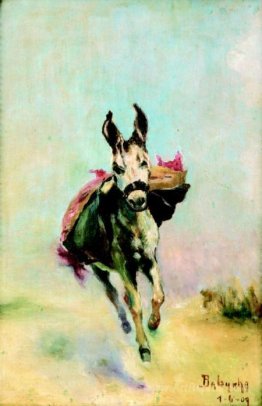 Little donkey running