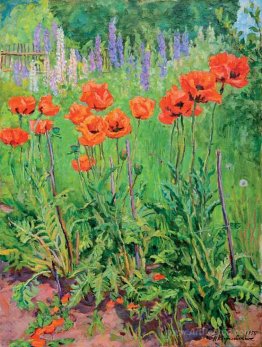 Poppies