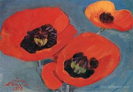 Poppies