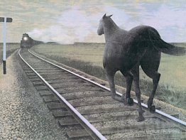 Horse and Train