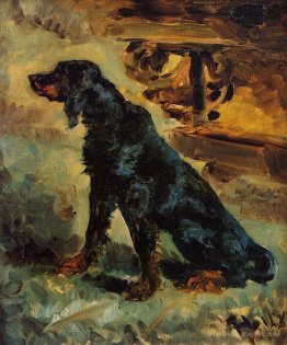 Dun, a Gordon Setter Belonging to Comte Alphonse de Toulouse Lau