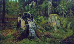 Landscape with stump