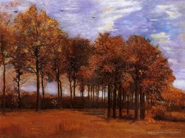 Autumn Landscape