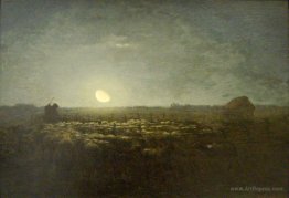 The sheep pen, moonlight