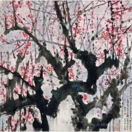 Plum Blossoms