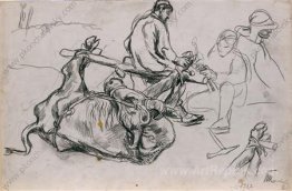 Forging of buffalo. Study.