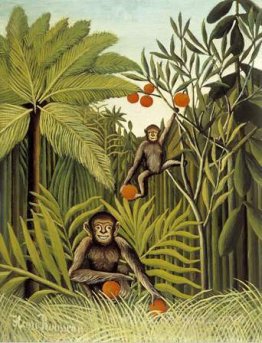 The Monkeys in the Jungle