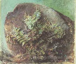 Ferns on a Rock