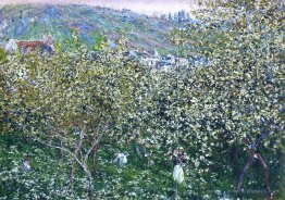 Vetheuil, Flowering Plum Trees