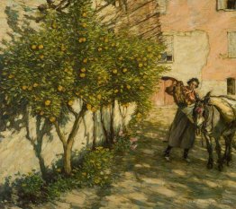 Gathering Oranges