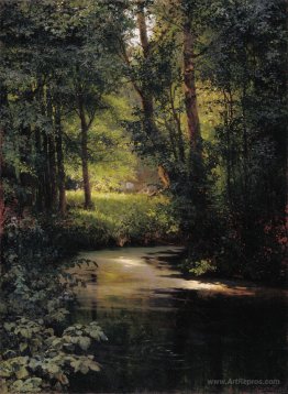 Creek in the forest