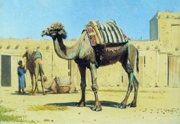 Camel in the courtyard of caravanserai