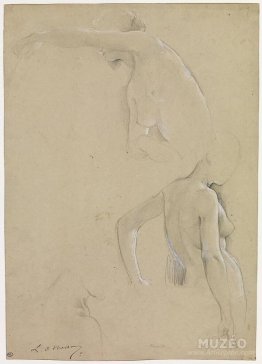 female nude studies, a mid-body