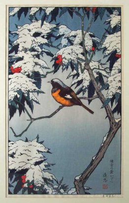 Birds of the Seasons - Winter